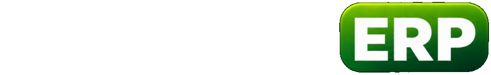 Ribdigi ERP